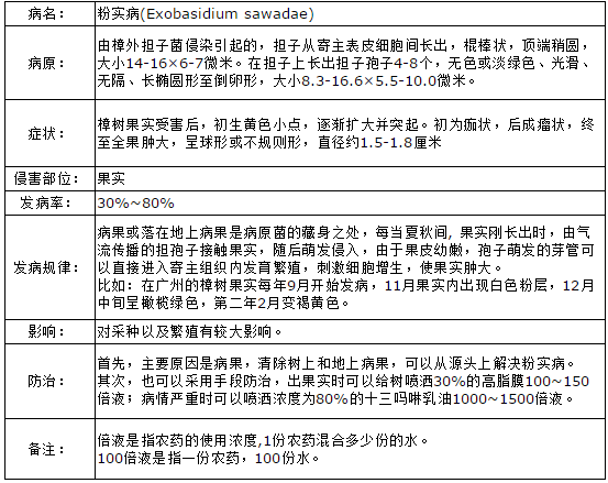 粉实病的成因以及防治