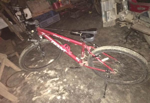 民警在单某林家见到了被偷的红色捷安特自行车